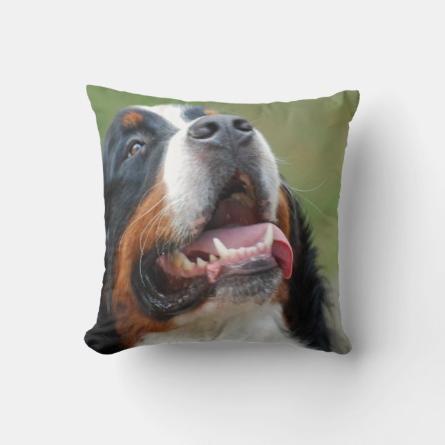 Almohada del perro de Berner Sennenhund (Anverso)