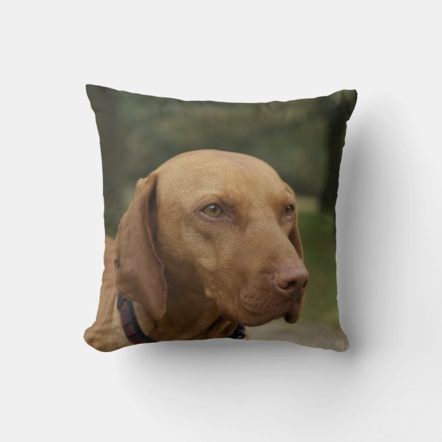 Almohada del perro de Rhodesian Ridgeback (Anverso)