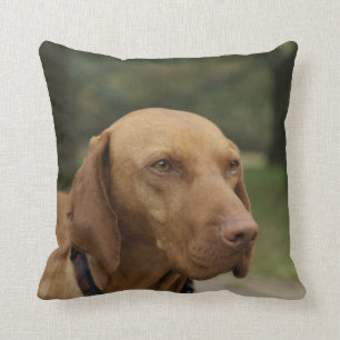 Almohada del perro de Rhodesian Ridgeback