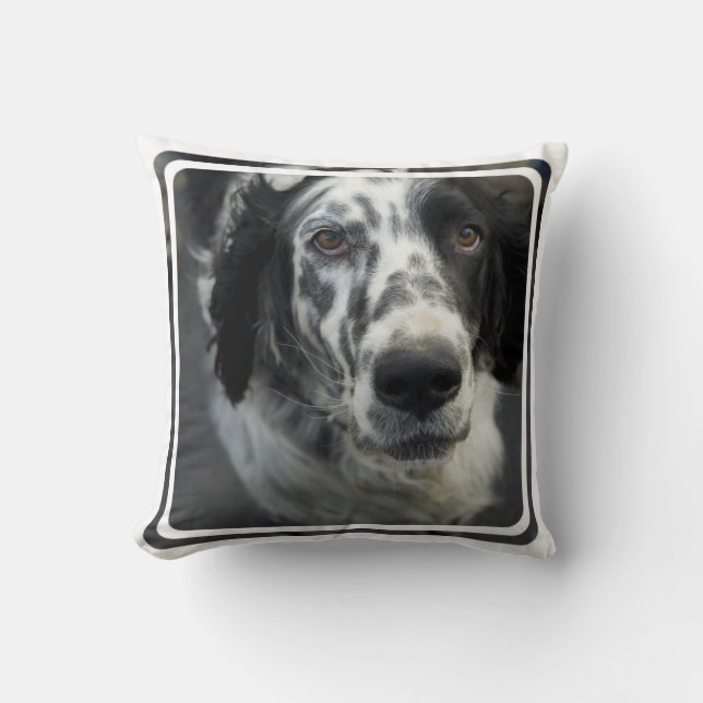 Almohada del perro del organismo inglés (Anverso)