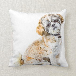 Almohada del perro shih zu/colchón