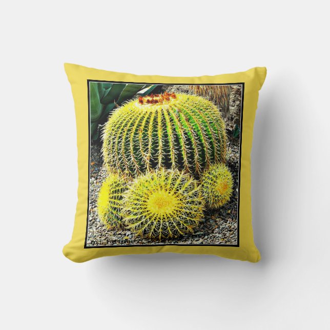 Almohada del personalizado del cactus de barril (Anverso)