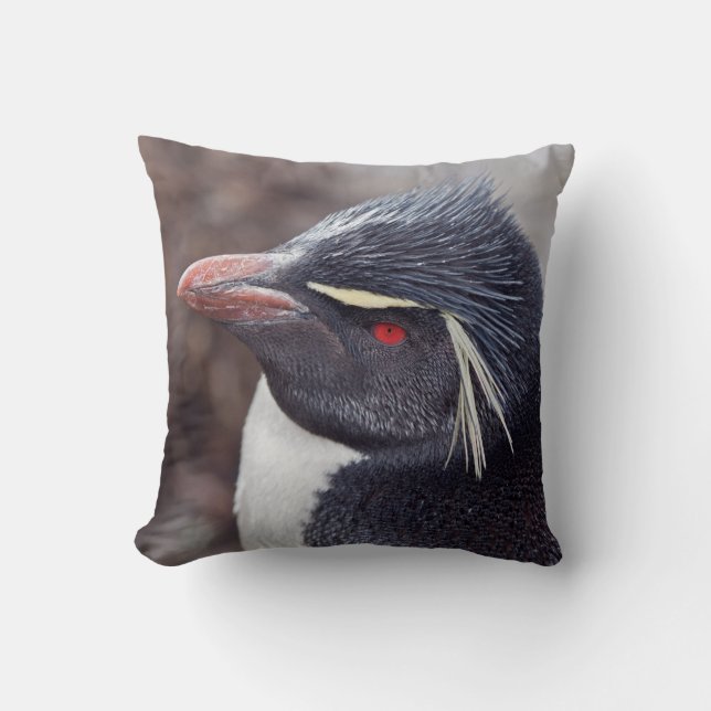 Almohada del pingüino de Rockhopper (Anverso)