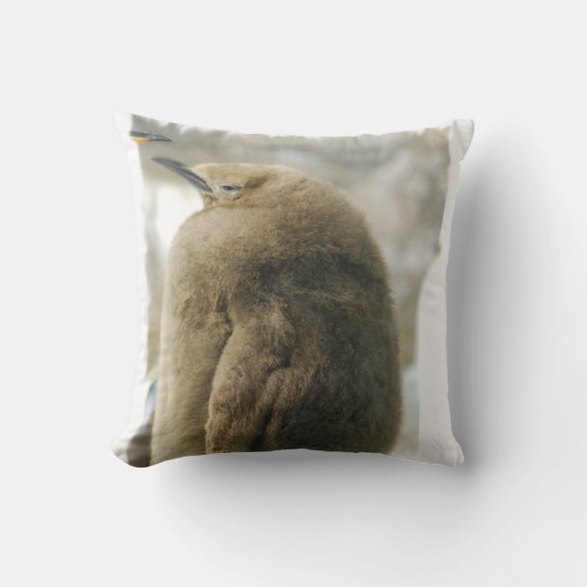 Almohada del pingüino del bebé (Anverso)