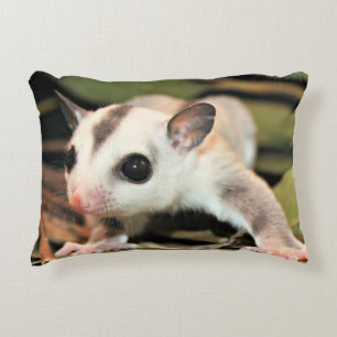 Almohada del planeador del azúcar