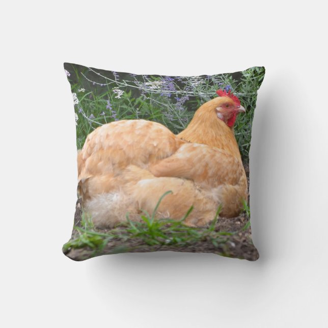 Almohada del pollo de Orpington (Anverso)
