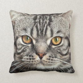 Almohada del primer de la cara del gatito