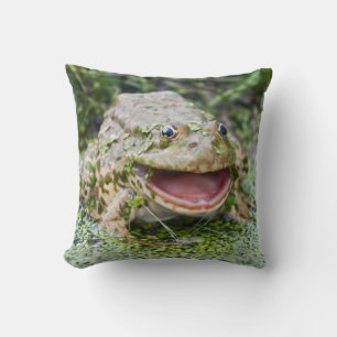 Almohada del Príncipe Rana