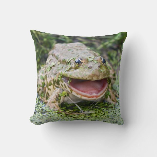 Almohada del Príncipe Rana (Anverso)