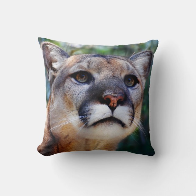 Almohada del puma (Anverso)