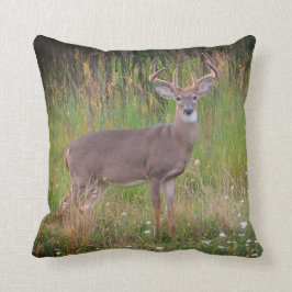 Almohada del retrato del venado de cola blanca