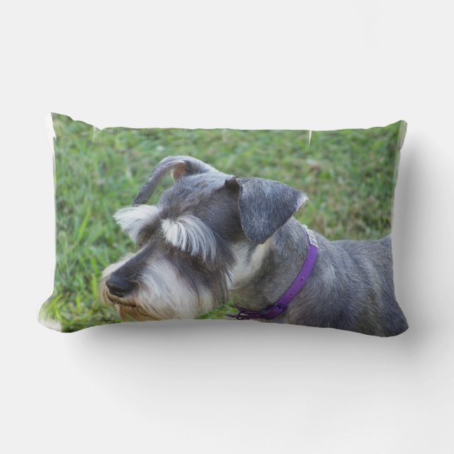 Almohada del Schnauzer (Anverso)