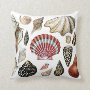 Almohada del SEASHELL