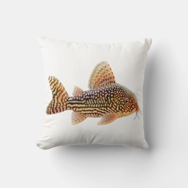 Almohada del siluro de Corydoras Sterbae (Anverso)