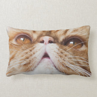 almohada del soplo