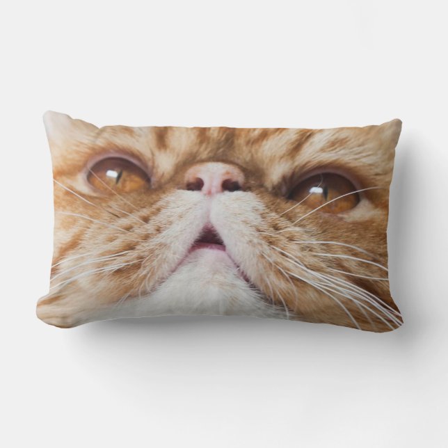 almohada del soplo (Anverso)