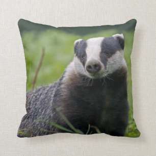 Almohada del tejón