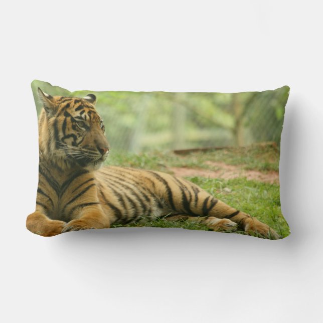 Almohada del Tigre Descansando (Anverso)