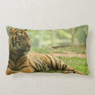 Almohada del Tigre Descansando
