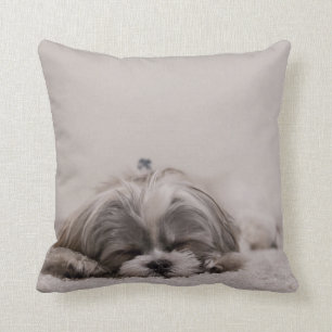 Almohada del tzu el dormir Shih, perro el dormir
