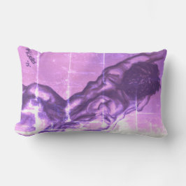 almohada diseñador de arte viejos maestros fig 2 b
