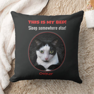 Almohada Divertida de Gatos