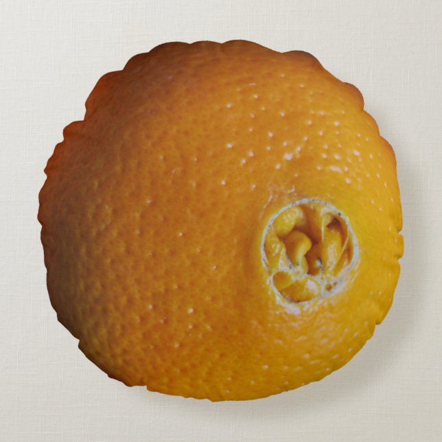 Almohada divertida de naranja (Anverso)