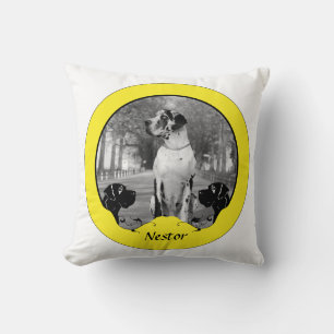 Almohada Doggen extra