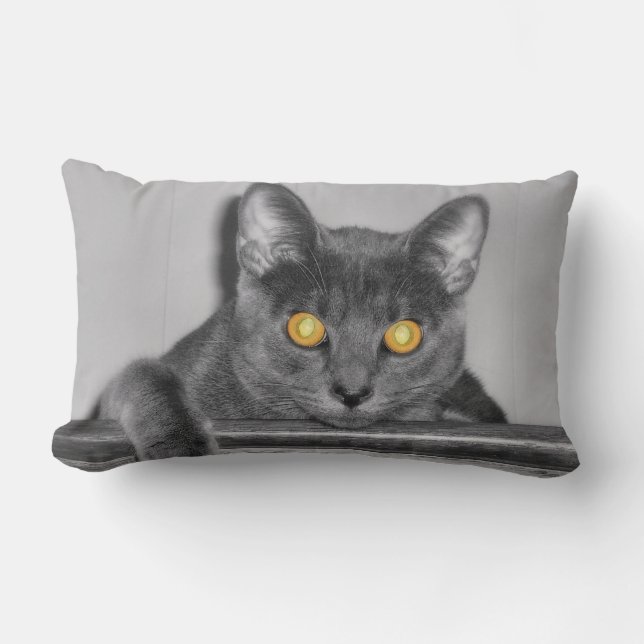 Almohada Dorada Oscura (Anverso)