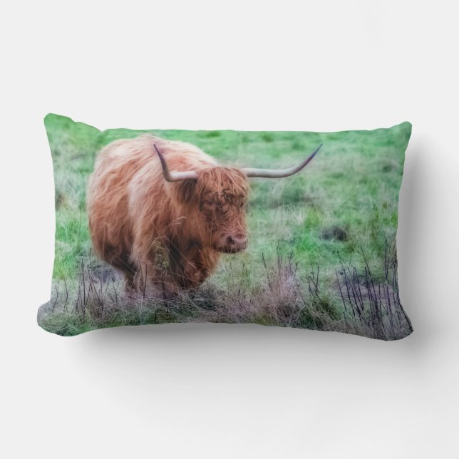 Almohada escocesa de la vaca de la montaña (Anverso)