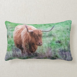 Almohada escocesa de la vaca de la montaña