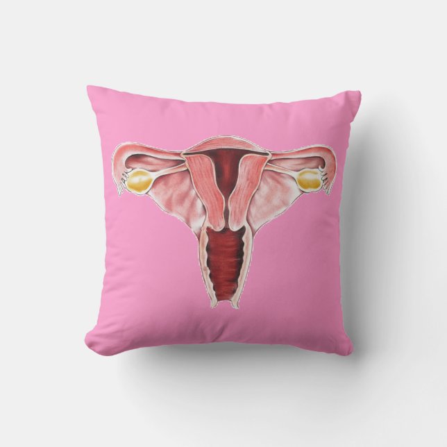 Almohada femenina del sistema reproductivo de la (Anverso)