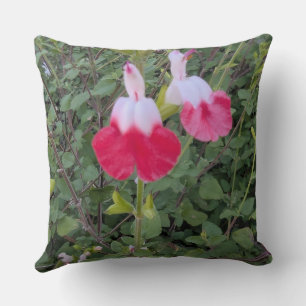 Almohada floral serie - Salvia labios calientes