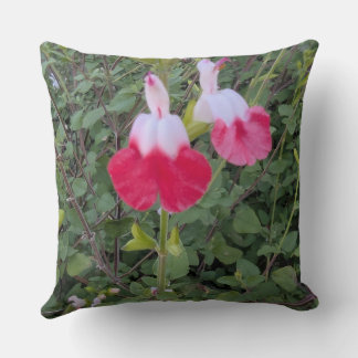 Almohada floral serie - Salvia labios calientes