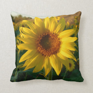 Almohada floreciente del girasol