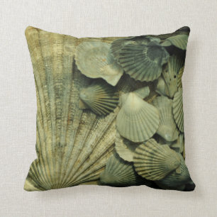 Almohada fósil de la colección de Shell de conch