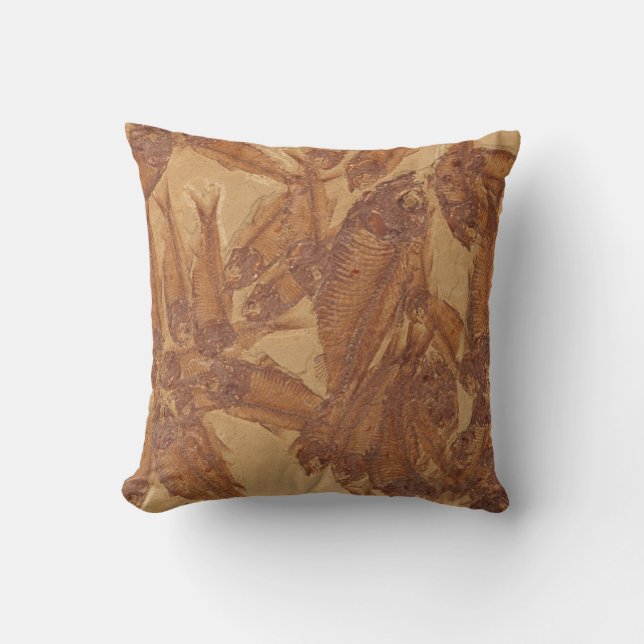 Almohada fósil real de la imagen (Anverso)
