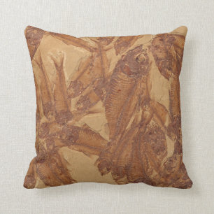 Almohada fósil real de la imagen