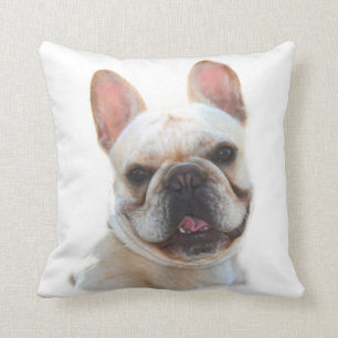 almohada francesa Bullodg American Mojo