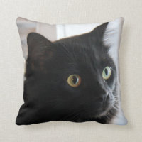 almohada Grande-observada, hogar o dormitorio del