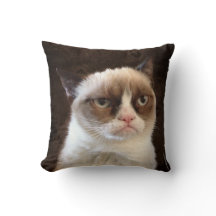 Almohada gruñón marrón gato