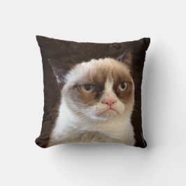 Almohada gruñón marrón gato