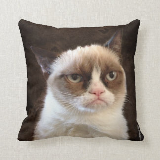 Almohada gruñón marrón gato