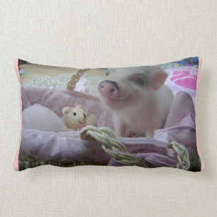 Almohada guarra linda
