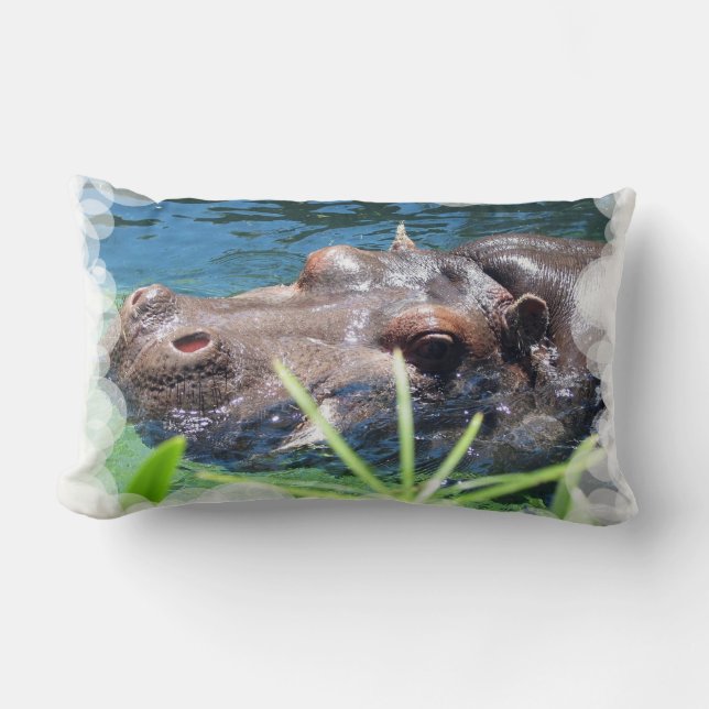 Almohada hambrienta del hipopótamo (Anverso)