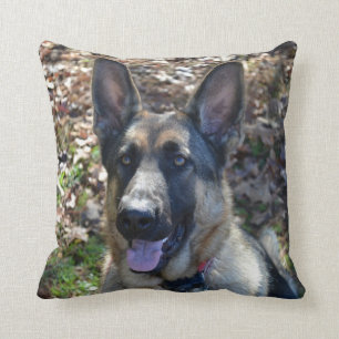 Almohada hermosa del pastor alemán