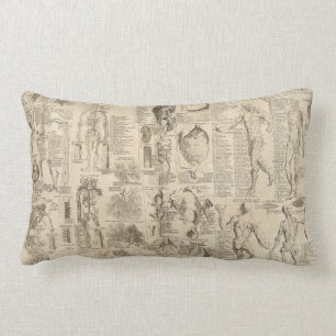 Almohada humana de la anatomía del vintage