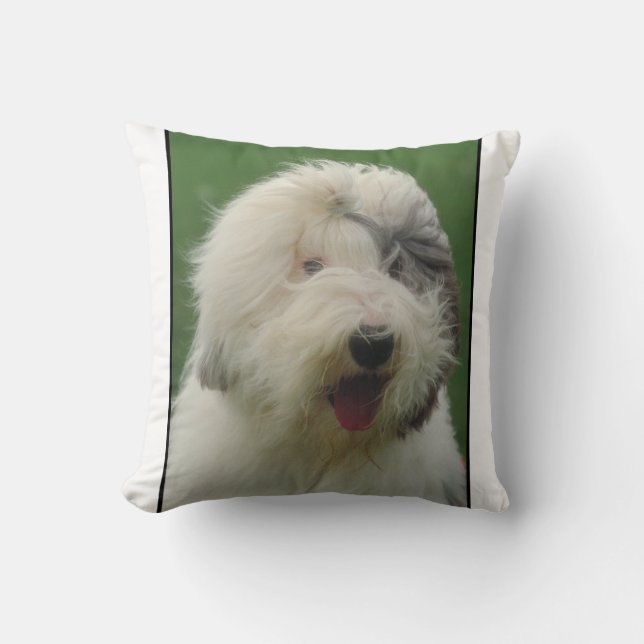 Almohada inglesa vieja del perro pastor (Anverso)