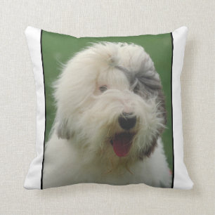 Almohada inglesa vieja del perro pastor