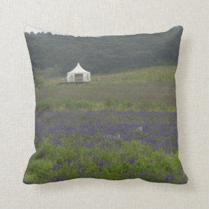 Almohada - jardín del señorío de la lavanda